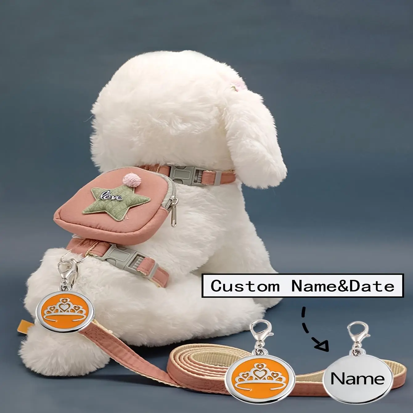 Customizable Dog Leash and Collar Set with Personalized Name Tag, Embroidered Design, Adjustable Chest Straps for Small to Medium Dogs, Secure & Stylish Pet Walking Gear, Dog Collar