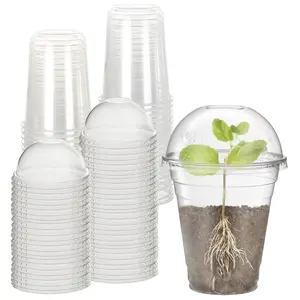 20 Transparent Plastic Flower Pots, Planting Containers for Indoor Outdoor Plants, Water Hydroponics, Succulents, Office Desk Decor, Includes 10 Pots + 10 Covers, Grow Kit, Planting Kit