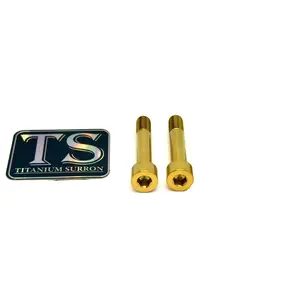 Titanium Hardware for EMoto Worx Shift Lock (LBX, XXX, ERP, Ultra Bee)