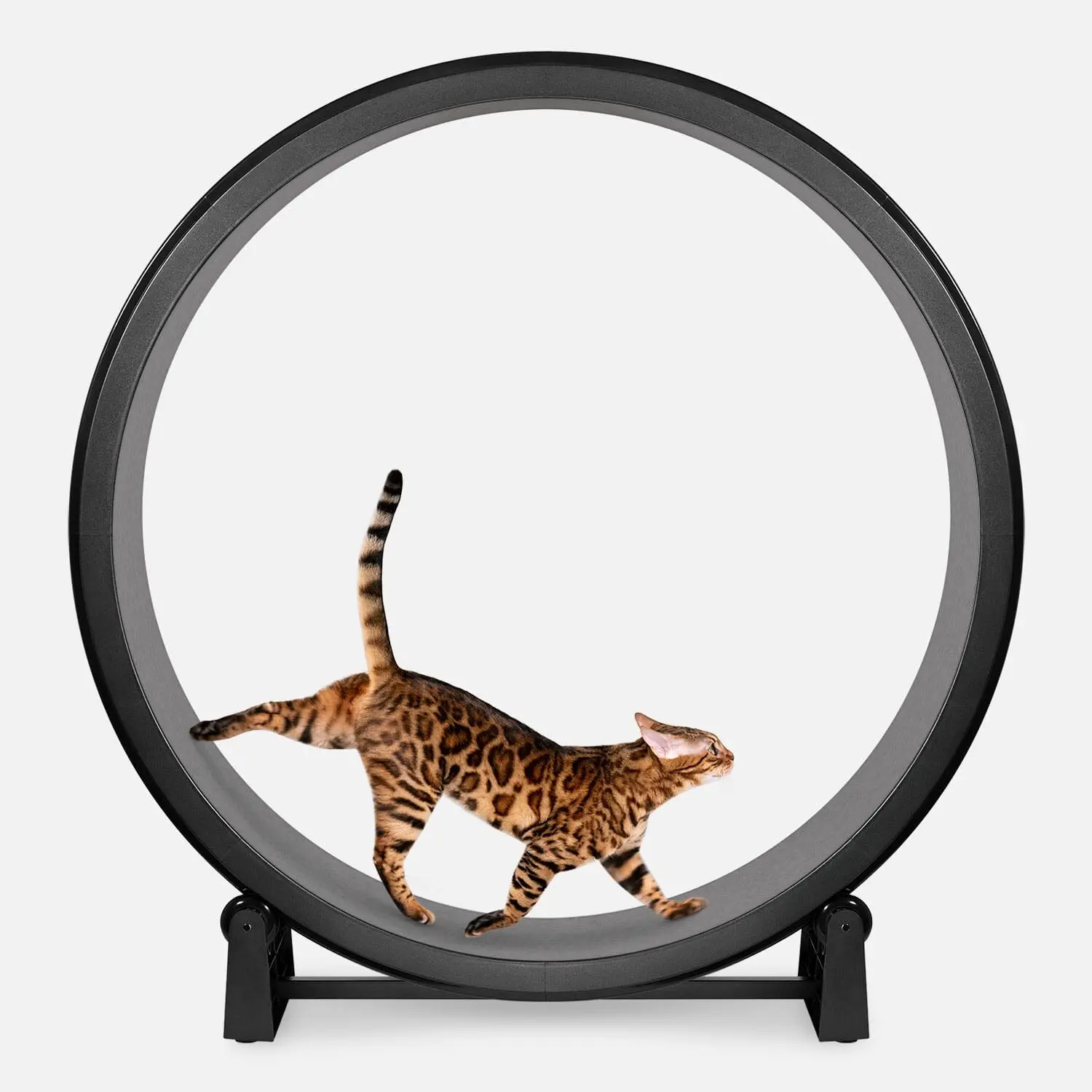Cat Exercise Wheel