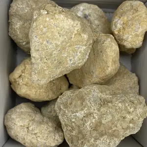 A box of unopened crackable geodes