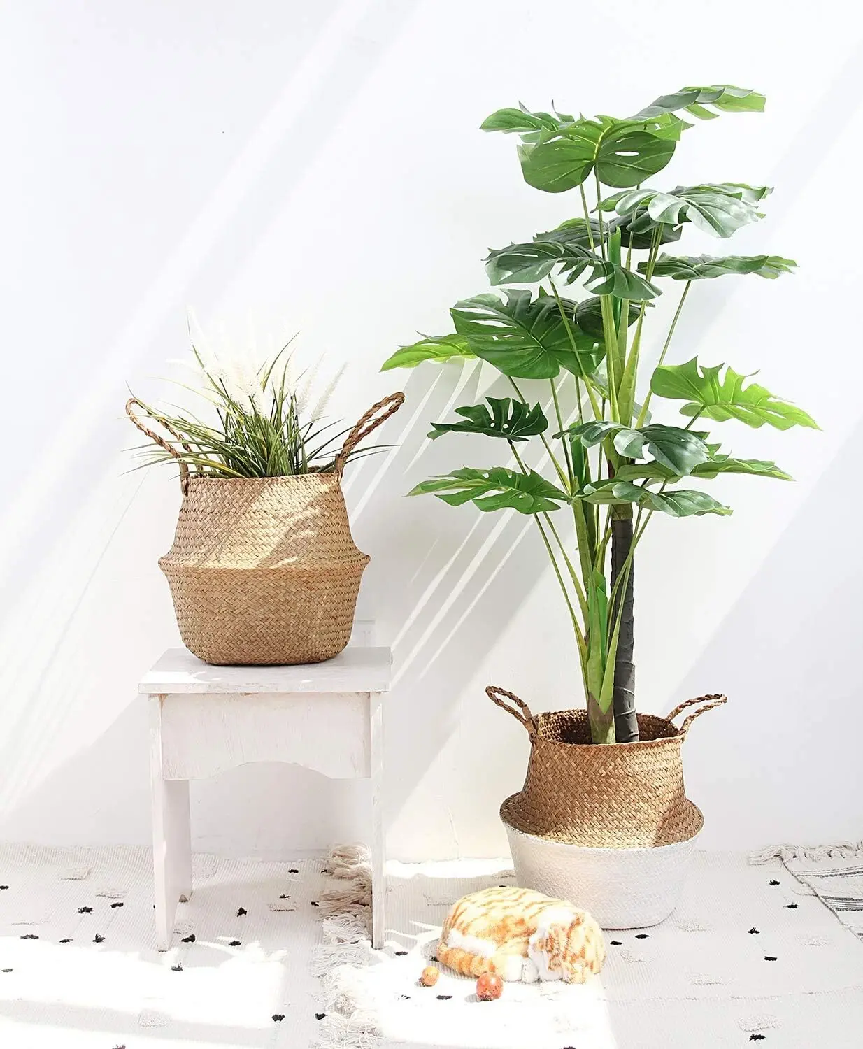 Colourtree 12.6" Diameter x 11" High Seagrass Belly Storage Basket Planter with Handles for Storage, Plant Pot, Laundry, Picnic and Grocery
