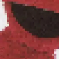 19 sesame（80 pcs ）