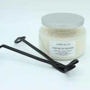 Take Me on Vacation Candle