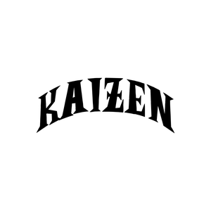 Kaizen USA