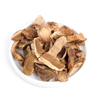 Slofoodgroup Dried Porcini Mushrooms