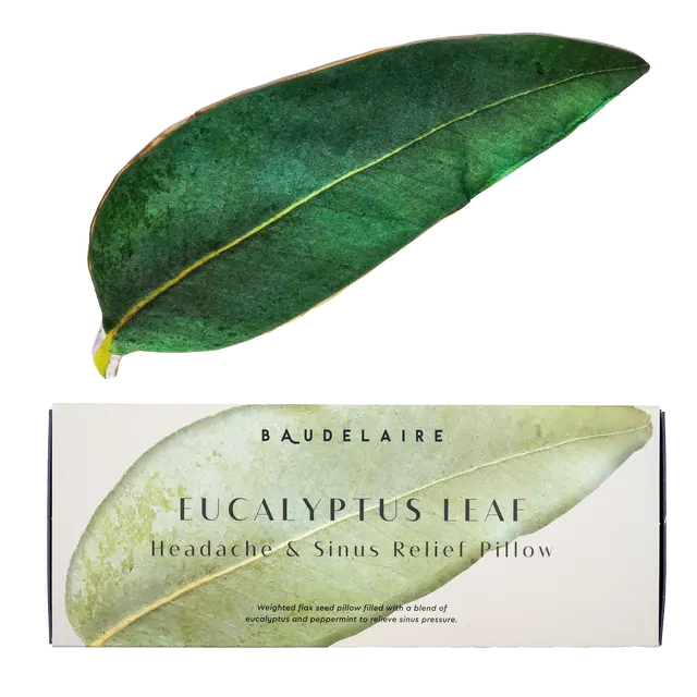 {Baudelaire} Eucalyptus Leaf Pillow