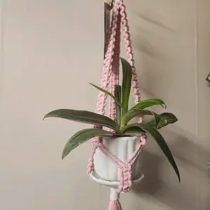 Pink Flat-Style Macrame Plant Hanger with Gold Ring for 2 Inch Pots Decorative Home Decor, Window Decor