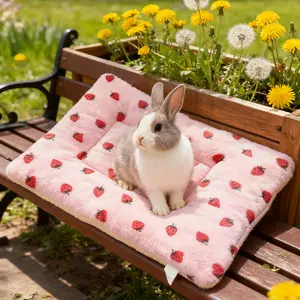 Large Hamster Bed Mat, Washable Sleep Pad, Soft Winter Sleeping Mat for Hamsters Rabbits, Comfortable Pet Bedding