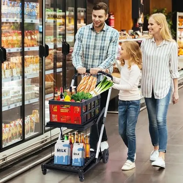 2-Tier Aluminum Foldable Shopping Trolley - Compact, Waterproof Multi-Use Rolling Storage Cart with Collapsible Design, 360° Swivel Wheels, Removable Crate, Bungee Cord Straps for Daily Errands, Grocery Runs, Travel