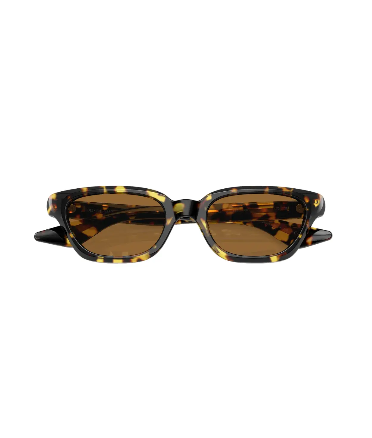 Oliver Peoples 0OV5512SU 1983c Cat eye Sunglasses