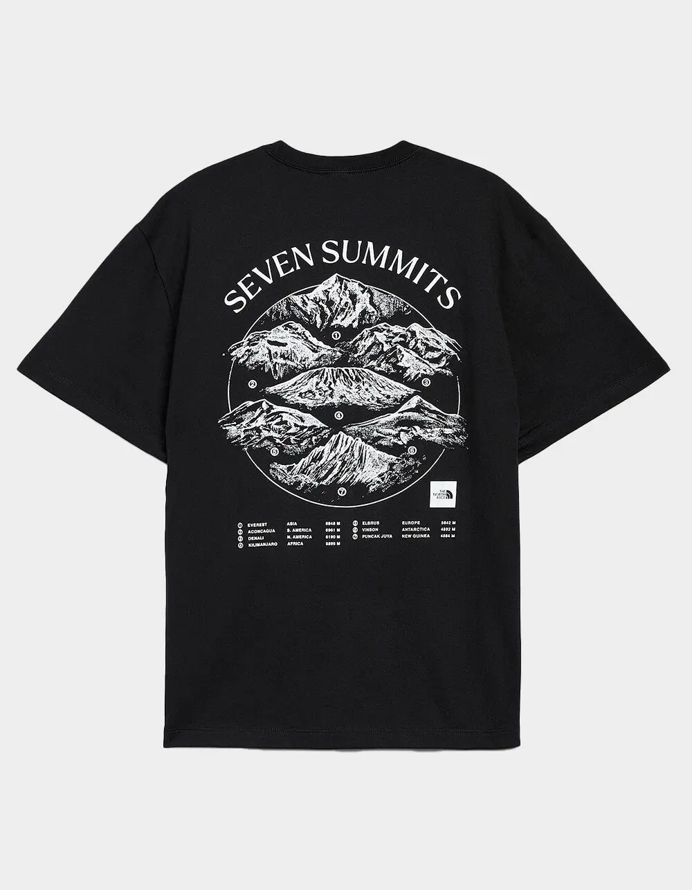 THE NORTH FACE Seven Summits Mens Tee