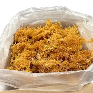 Tropical Superfoods Wildcrafted Sea Moss Wholesale Sea Moss Bulk Sun-dried Sea Moss