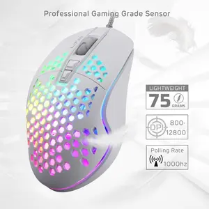 Pit HM-001 RGB Gaming Mouse with 2 Side Buttons, Lightweight Honeycomb Shell, Adjusted 12800DPI, 7 Programmable Buttons, Software Support, White