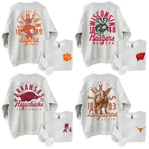 Hand Sketched University Graphic Sweatshirt, Ash Grey Vintage Campus Tee, Game Day Sports Shirt, Unisex Cotton Top, College Spirit Streetwear