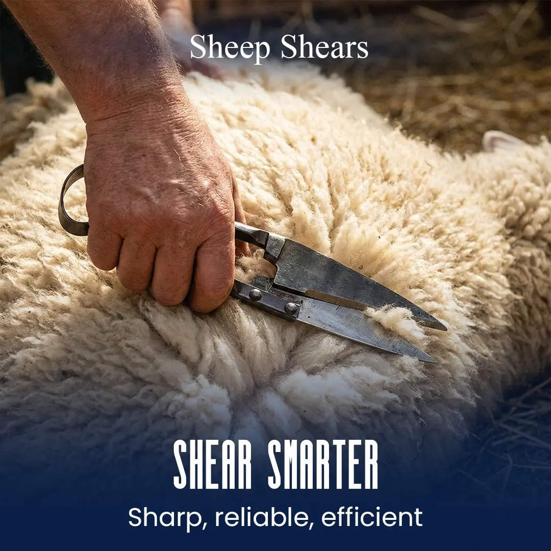 Economy Sheep Shears