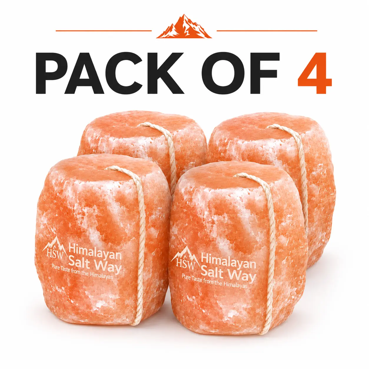 Natural Himalayan Salt Lick Blocks – Pack of 4