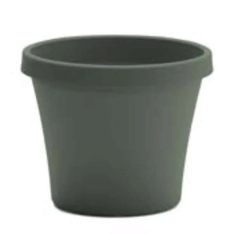 Bloem 7037085 8.5 x 10.75 x 7.5 in. Terra Plastic Traditional Planter, Green