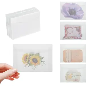 60 Pack 2.7x3.9 inches Vellum Glassine Translucent Self Sealing Mini Envelopes for Seeds Stamps Coins Gifts