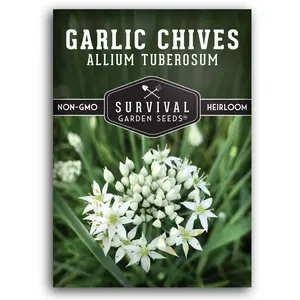 Garlic Chive Seeds - High Germination Seeds for Planting