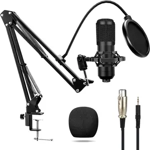Hi-Fi Condenser Microphone Kit with Adjustable Boom Arm Stand, Pop Filter, Studio-Grade Live Singing Dubbing Equipment, Recording Set