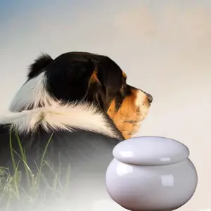 Ceramic Pet Ashes Box, Vintage Pet Memorial Box, Pet Ashes Holder, Pet Memorial Urn, Pet Supplies, Dog & Cat Accessories