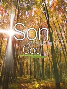 USED-Son of the Living God by Our Sunday Visitor Curriculum (Paperback)