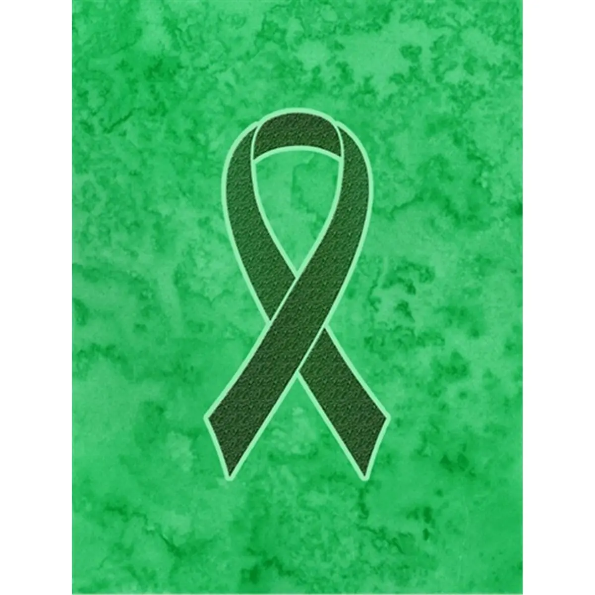 CAROLINE'S TREASURES Liver Cancer Awareness House Flag with Emerald Green Ribbon, Double-Sided 100% Polyester, Fade-Resistant, 28x40 in (Boating & Outdoor Use)