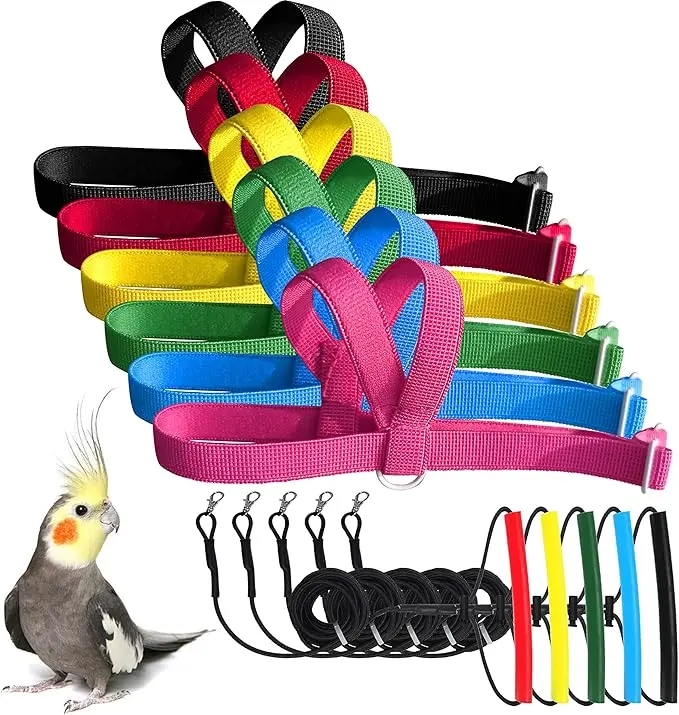 Small-Size Bird Walking Harness & Outdoor Training Kit for Parrot & Cockatiel Owners (70-120g), 80-Inch Extended Leash, Lightweight Safe Easy-to-Put-On Outside Flying Aid