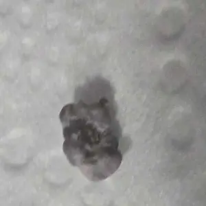 review image 7