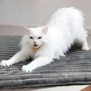 Bedsure Self Warming Pet Bed, Small Self Heating pet Crate Pad, No Electricity, Thermal Extra Warm Mat Indoor & Outdoor, Non-Slip & Washable Noiseless Animal, TikTokShopBlackFriday Choice, Foot Warmer, Warming Pad, Desk Foot Warmer