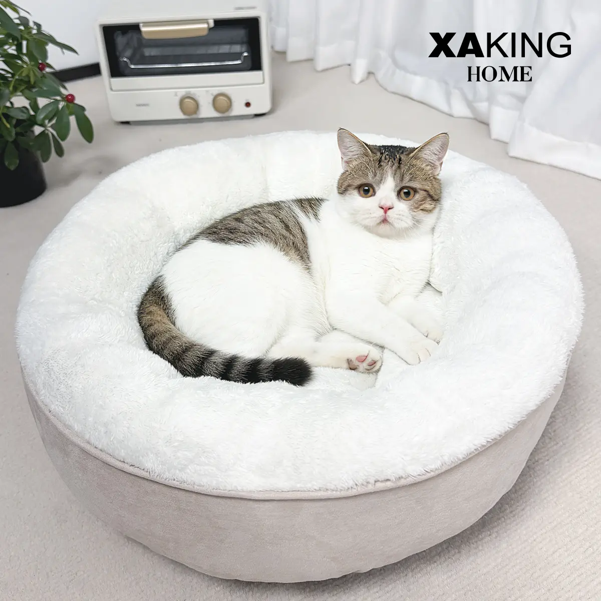 XAKING Round Kitten Bed - 1-Piece Donut Bed with Cozy Kitten Condo & Curl-Up Spot, Washable Flannel, Soft Suede, High-Density Padding, Raised Rim, Neck & Spine Wrap,Stable Floor Grip, All-Season Machine-Washable (19.7"x19.7"x5.9"/25"x25"x8")