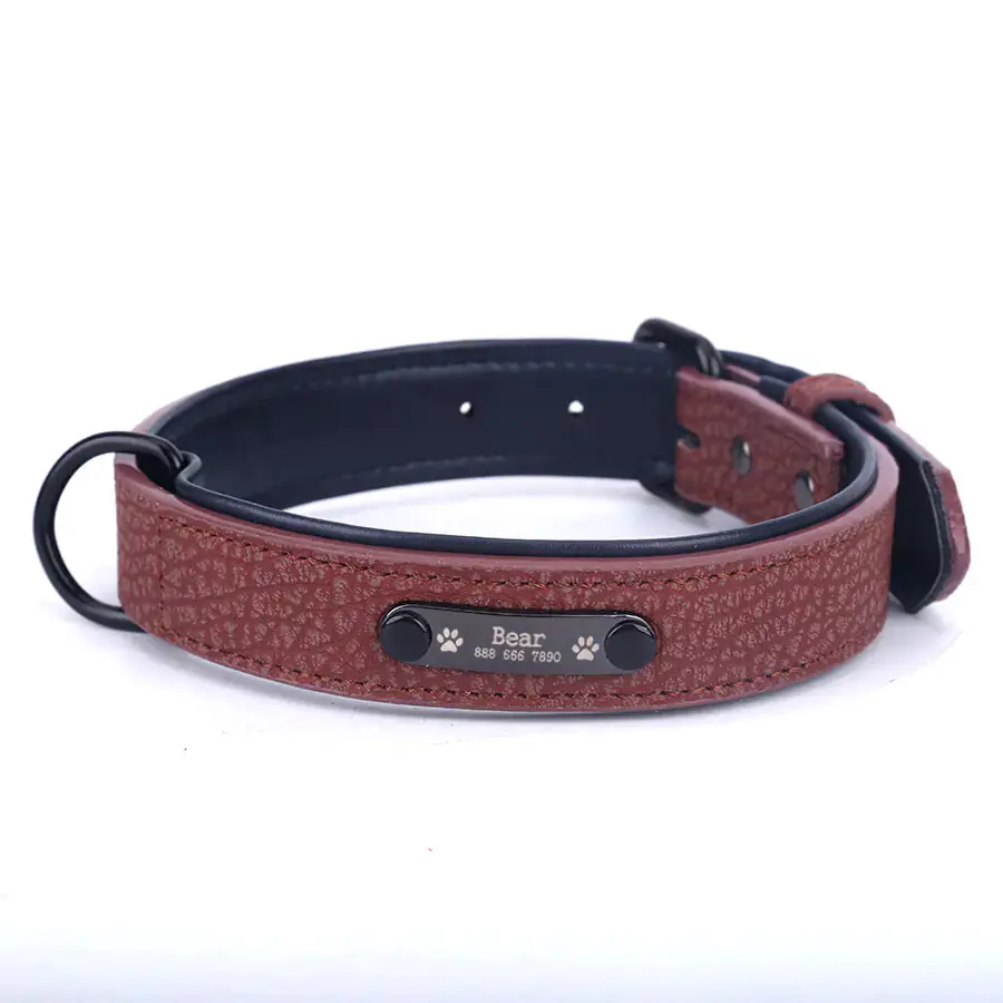 SPS Custom Engraved Leather Dog Collar
