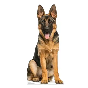 212 MAIN Life-Size Self-Standing German Shepherd Cardboard Cutout, 46x21 in Advanced Graphics Print, Home Decor, Event Photo Prop