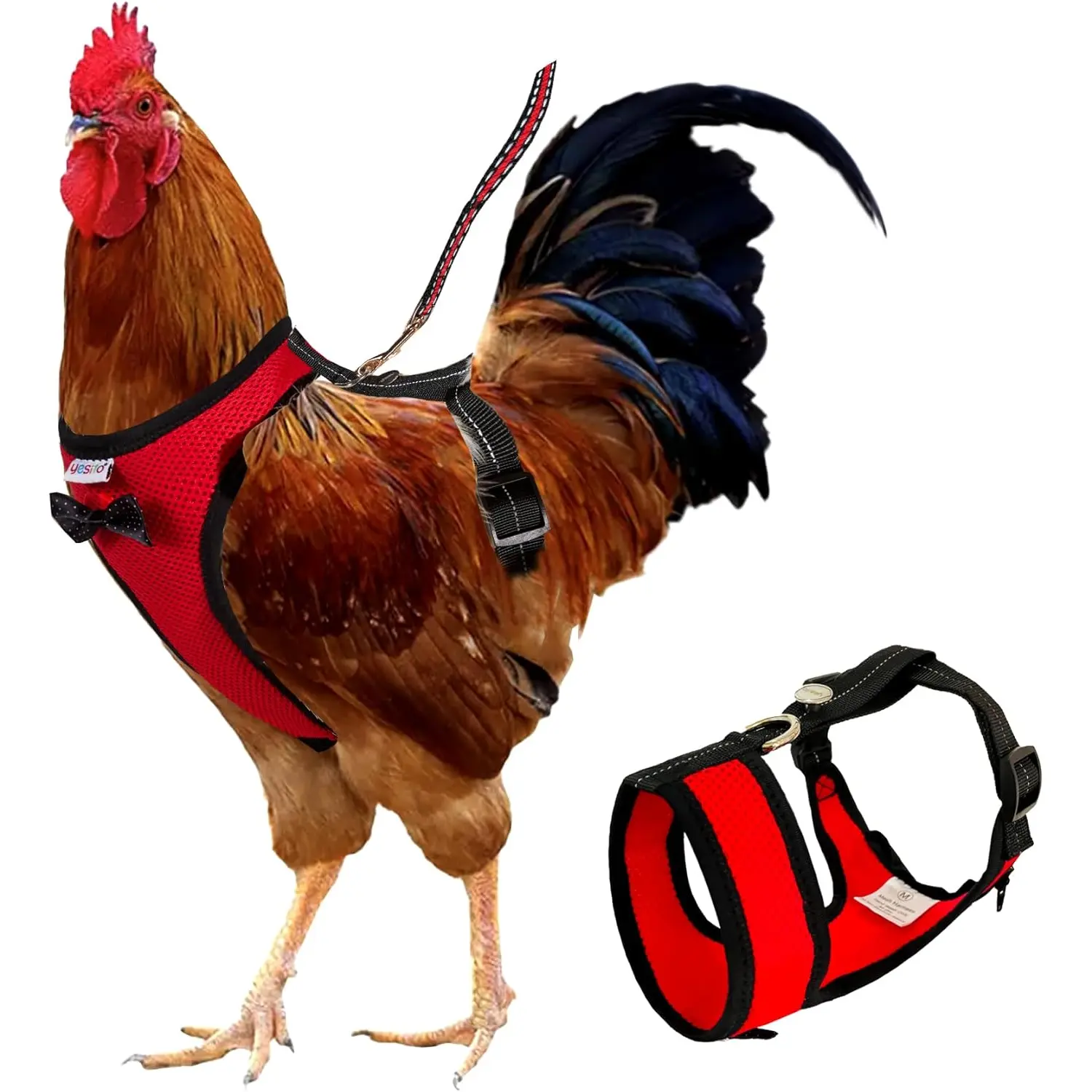 Premium Chicken Harness with 5.5-Foot Matching Leash – Customizable Size, High Resilience, Ultra-Comfort, Breathable Mesh, Ideal for Small Hens Weighing Approximately 3.0 Pounds, Red Yesito