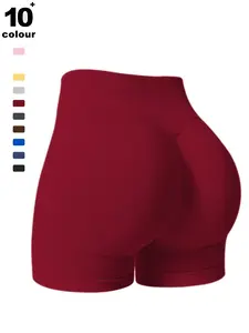 Women's High-Waisted Seamless Yoga Shorts, Sporty Plain Design, All-Season Fitness Wear, Suitable for Indoor & Outdoor Activities, High Stretch Shorts