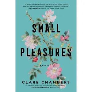 Small Pleasures: A Novel by Clare Chambers [Paperback Book]
