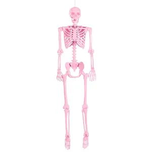 5FT Poseable Crazy Bones Skeleton in Pink Decoration