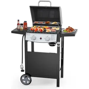 R.W.FLAME 2-Burner Propane Gas BBQ Grill, 20,000 BTU Stainless Steel Grill with Side Shelves and Wheels, Portable Outdoor Grill for Patio, Backyard, Garden, or Camping Cooking