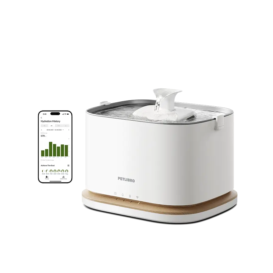 PETLIBRO Dockstream 2 Cat Water Fountain Cordless Battery Operated 3L 101oz Stainless Steel Tray 5GHz WiFi App Monitoring Automatic Dispenser