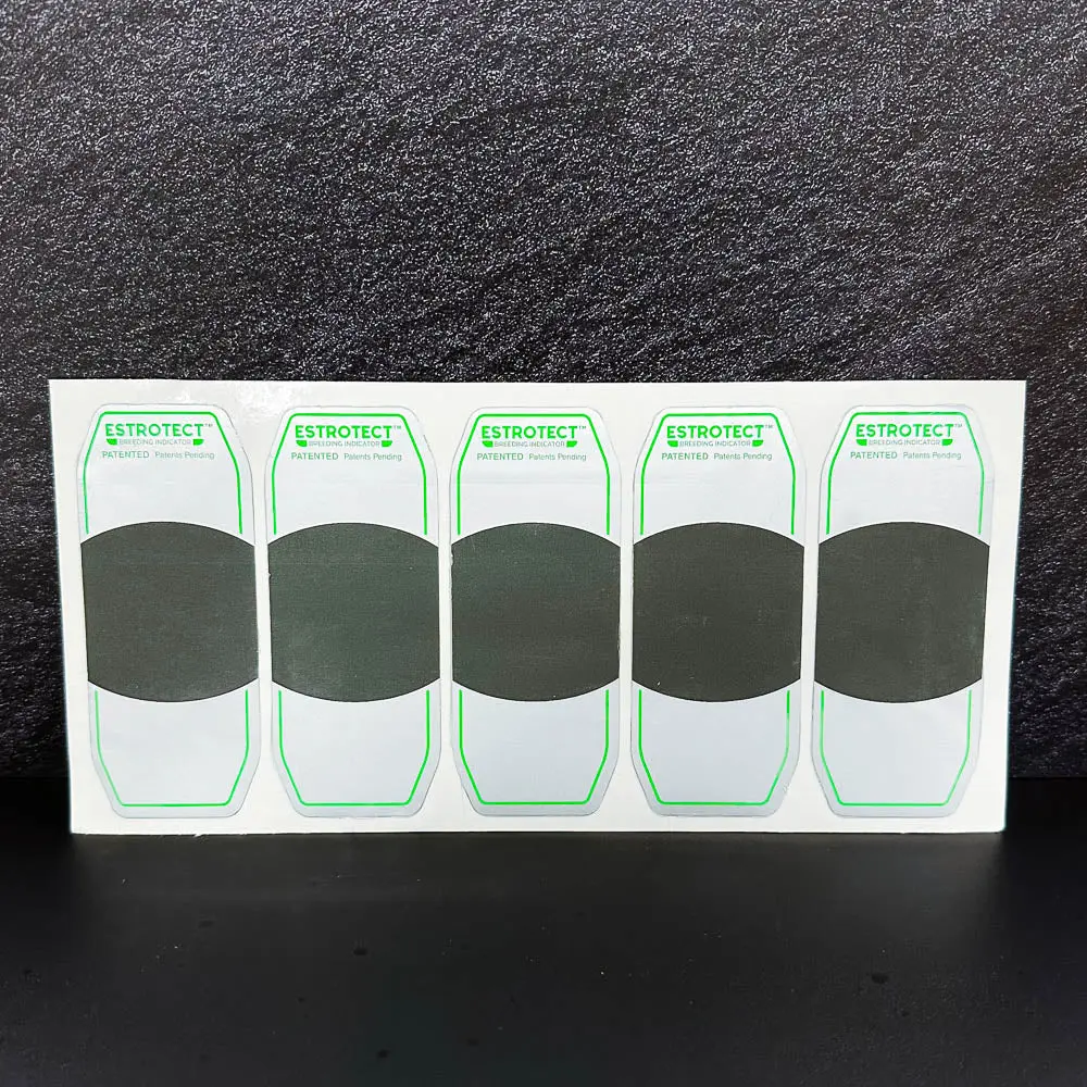 Heat Patches Heat Patches