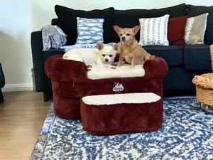 Buddy Lounger- Steps and Bed for Dogs and Cats. Two Steps