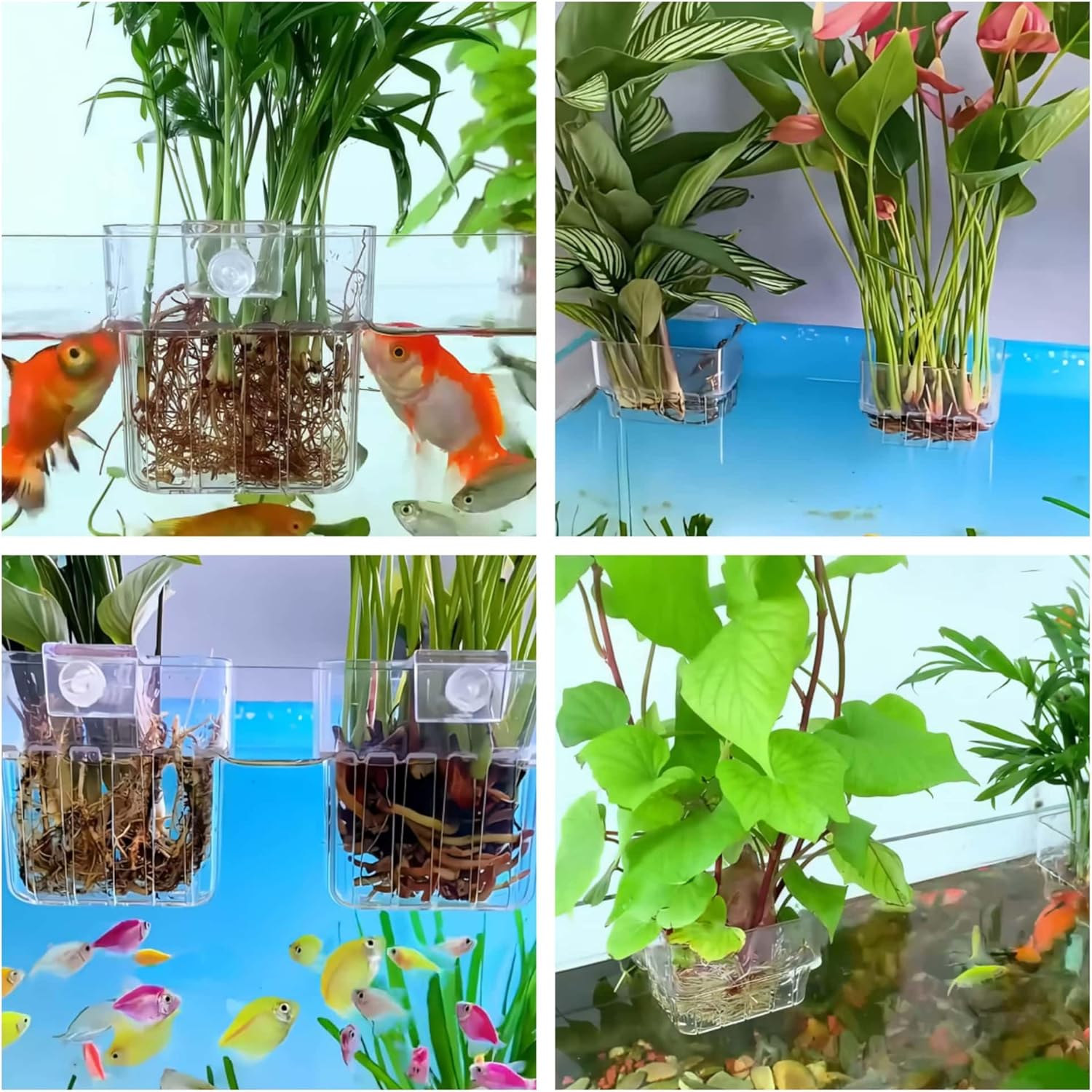 2 Pack Clear Aquarium Plant Holder Top Hanging Fish Tank Plant Holders Fits up to 0.8in Tank Edges