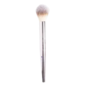 Beauty Secrets Tapered Highlight Brush