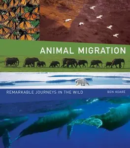 USED-Animal Migration: Remarkable Journeys in the Wild by Hoare, Ben (Hardcover)