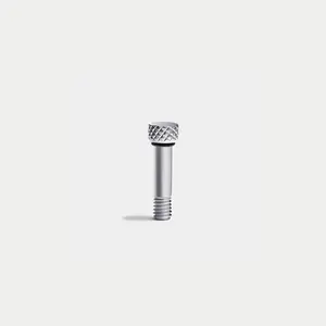 Classic Mini Screw Classic Mini Screw