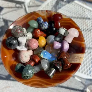 Mystery Little Mushroom