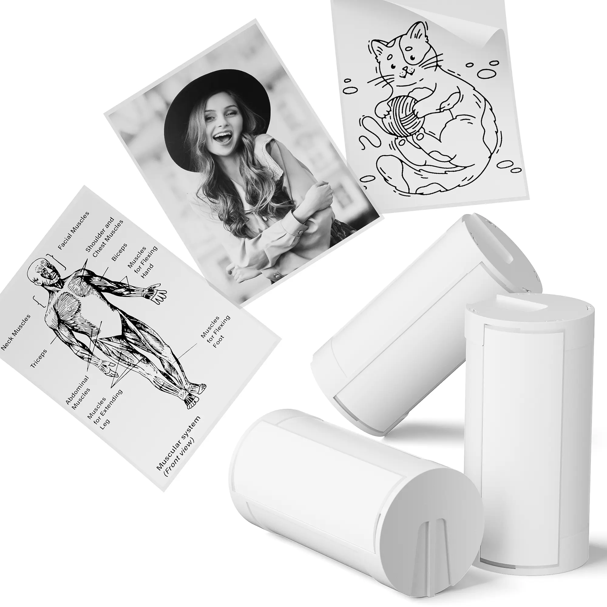 PM290C Direct Thermal Labels, 54mmx3.2m High Adhesive Sticky Label Stickers, 3 Rolls for Outdoor Use - Self-Adhesive Thermal Printing Paper (Printer Not Included),summerwins