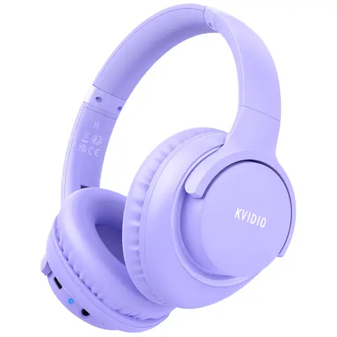 KVIDIO Over-Ear Dual Speakers Headset - Noise-Isolating, Lightweight, Foldable, Portable, Stereo Bass, Built-In Microphone, Hands-Free Calling, Detachable, Headset for Gaming, for PC/Mobile Use, Black