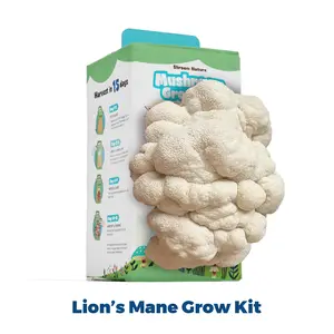 (3.5 LBS) Shroom Nature Organic Mushroom Grow Kit – USDA Certified, Made in USA | Fast-Growing Oyster Mushrooms in 10 Days | Beginner-Friendly Indoor Gardening Kit & Unique Gift for Adults/Kids